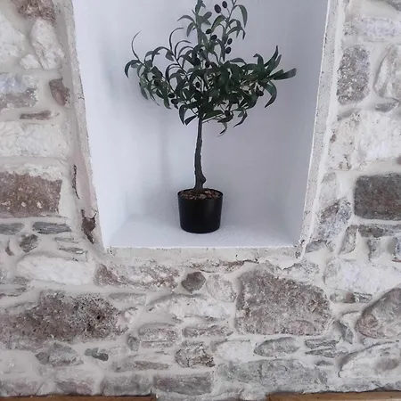 Thasscities Casa * لايميناس